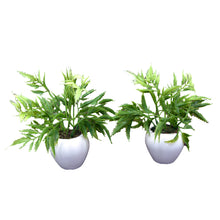 Artificial Palaplai Plant (set of 2)  With Small Apple Pot