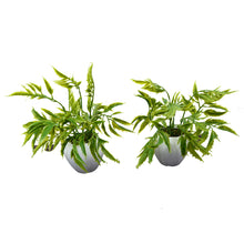 Artificial Palaplai Plant (set of 2)  With Small Apple Pot