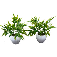 Artificial Palaplai Plant (set of 2)  With Small Apple Pot