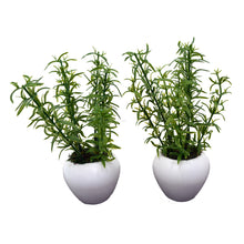 Artificial Aspiragus Plant (set of 2)  With Small Apple Pot