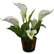Artificial Flower Calla Lilly (38 cm/ 15 inchs) in Wood round big pot