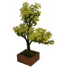 Artificial Plant Hackleberry Bonsai in square wood pot