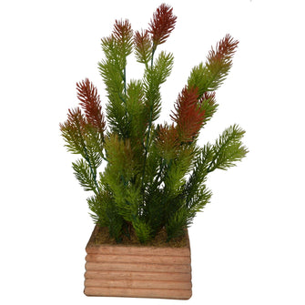 Artificial Plant Pine in comb 3" pot