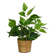 Artificial Money plant (28 cm/ 12 inchs) in Wood round samll pot