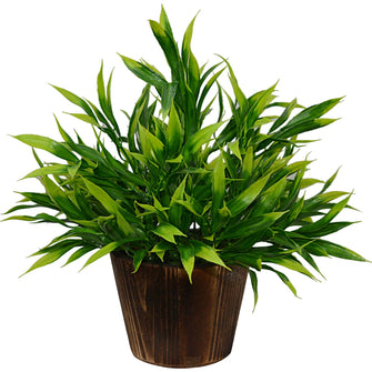 Artificial Plant Bamboo (28 cm/ 11 inchs) in Wood round big pot